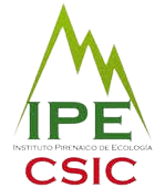 IPE CSIC